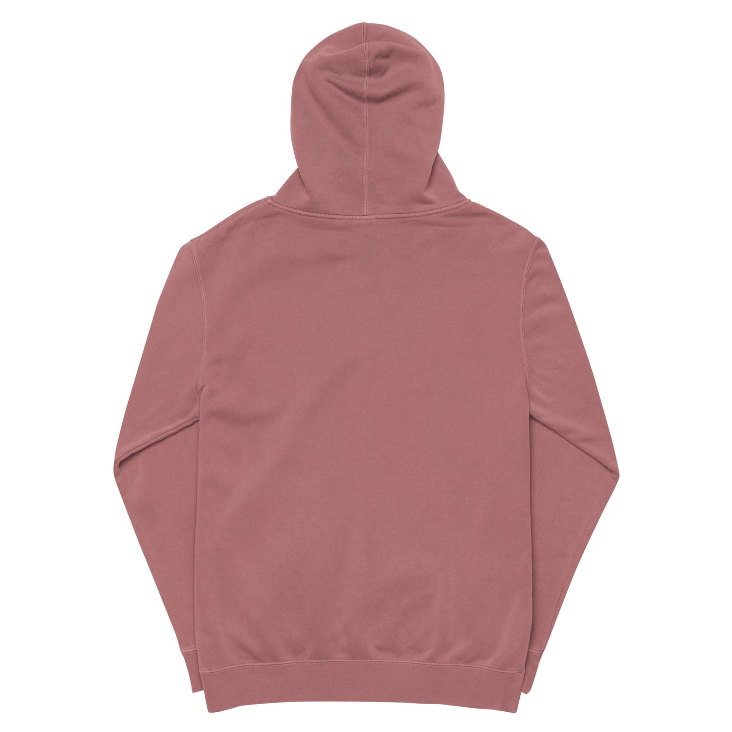 Blue Sky House Pigment-dyed hoodie (Apple)